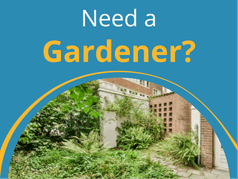 Image for Service.com.au