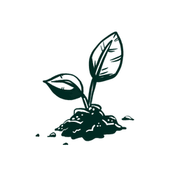 plant growth